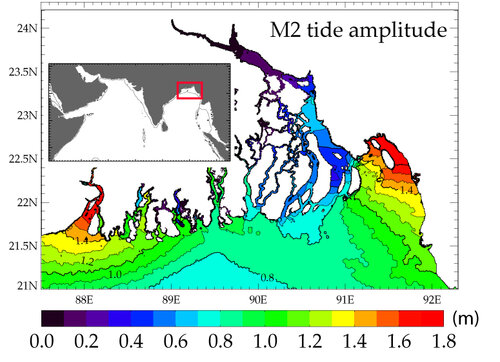 M2_maps Integrated monitoring of the rivers-estuaries-ocean continuum combining satellite altimetry and hydrodynamical modeling: a case study for the Bengal delta